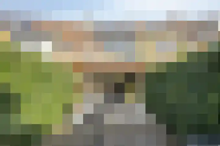 Akelei 16 Breukelen thumbnail 32
