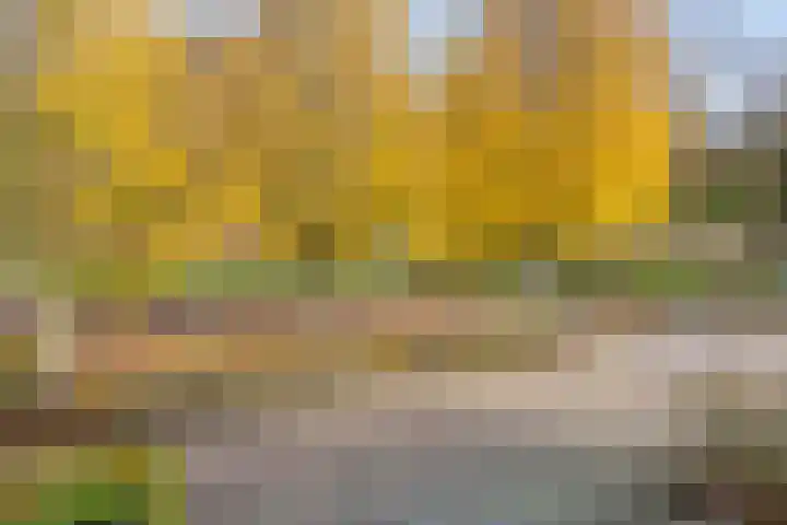 Akelei 16 Breukelen thumbnail 33