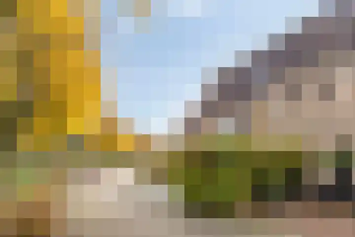 Akelei 16 Breukelen thumbnail 37