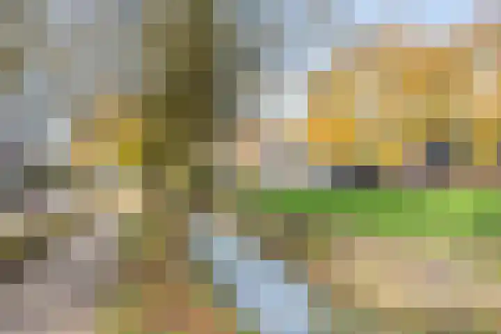 Akelei 16 Breukelen thumbnail 38