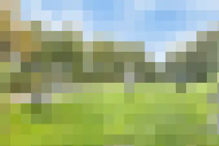 Akelei 16 Breukelen thumbnail 39