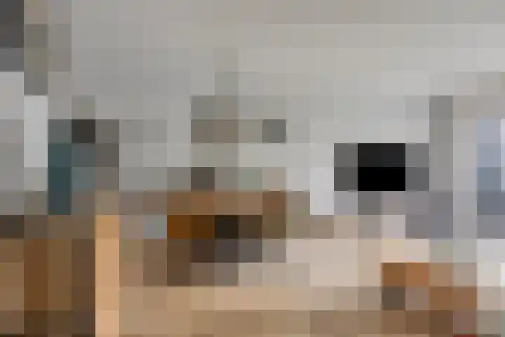 Akelei 16 Breukelen thumbnail 4