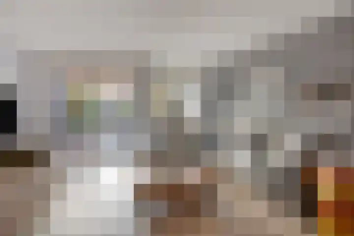 Akelei 16 Breukelen thumbnail 6