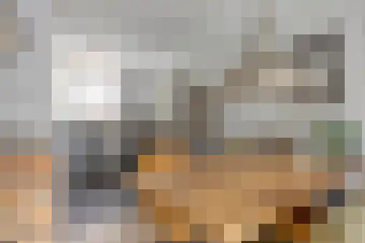 Akelei 16 Breukelen thumbnail 7