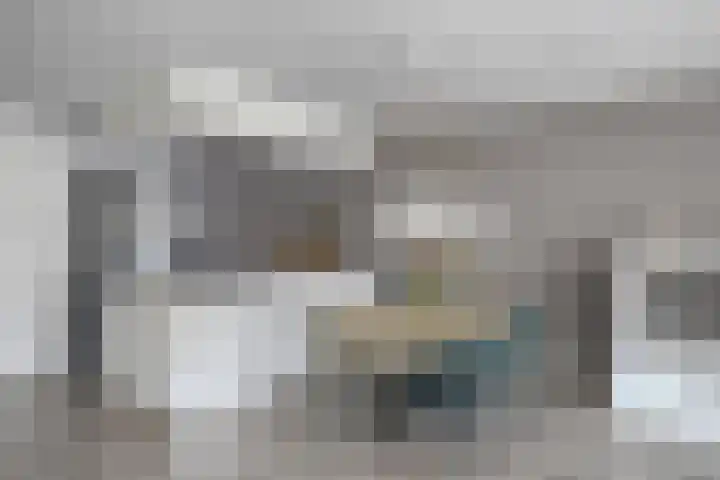 Akelei 17 Kampen thumbnail 10