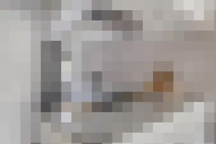 Akelei 17 Kampen thumbnail 11