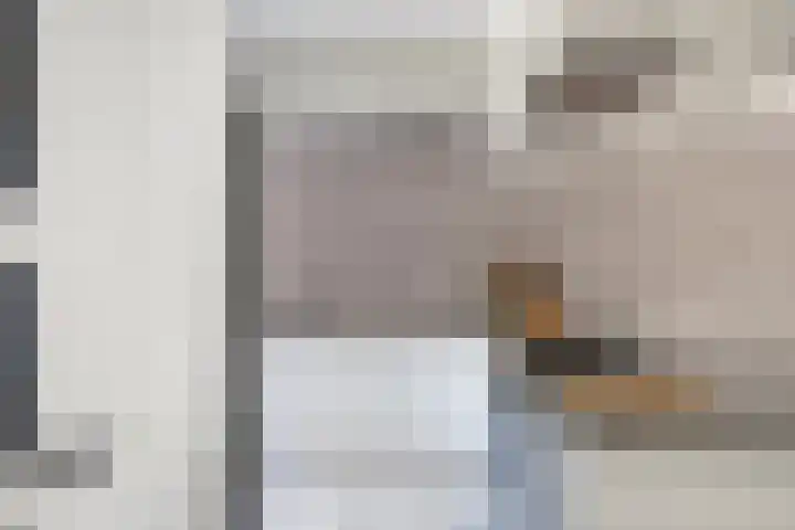 Akelei 17 Kampen thumbnail 14