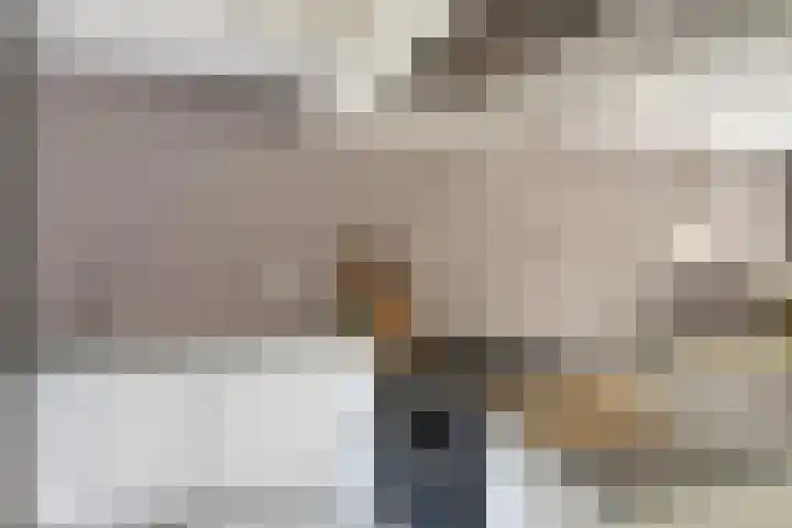 Akelei 17 Kampen thumbnail 15