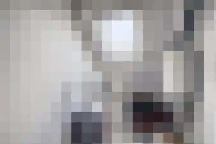 Akelei 17 Kampen thumbnail 31
