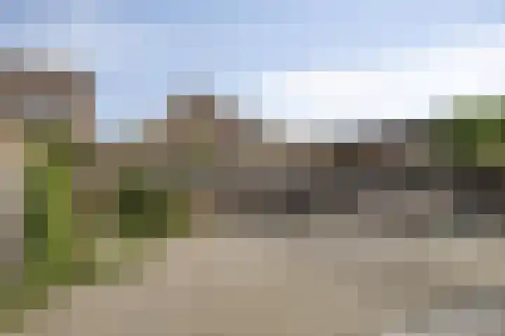 Akelei 17 Kampen thumbnail 34
