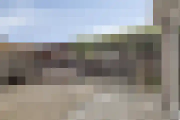 Akelei 17 Kampen thumbnail 35