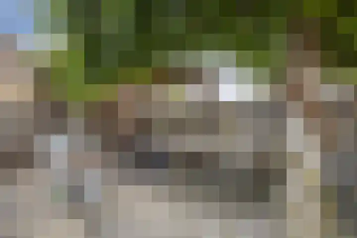 Akelei 17 Kampen thumbnail 36
