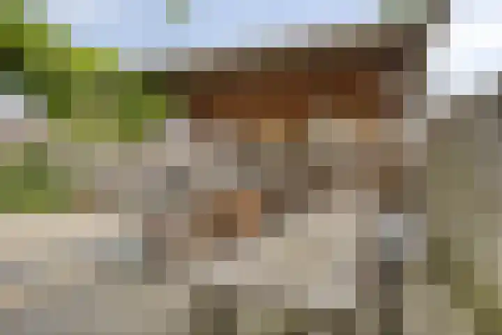 Akelei 17 Kampen thumbnail 37