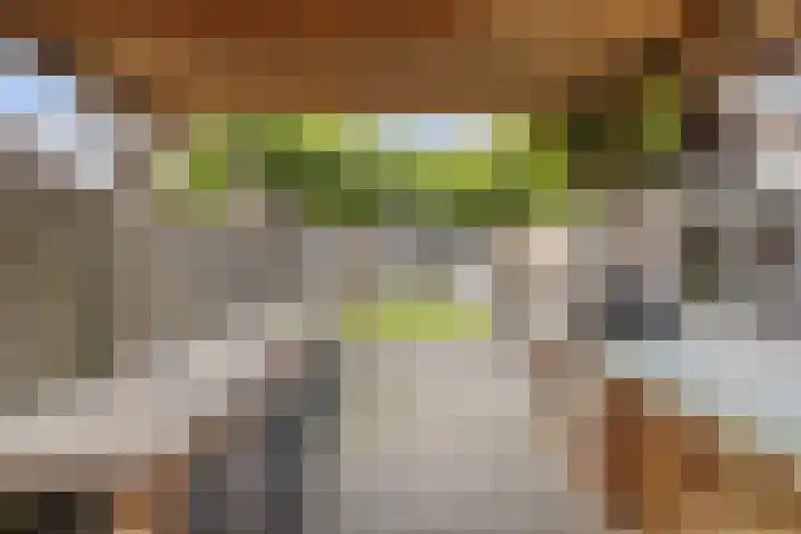 Akelei 17 Kampen thumbnail 38