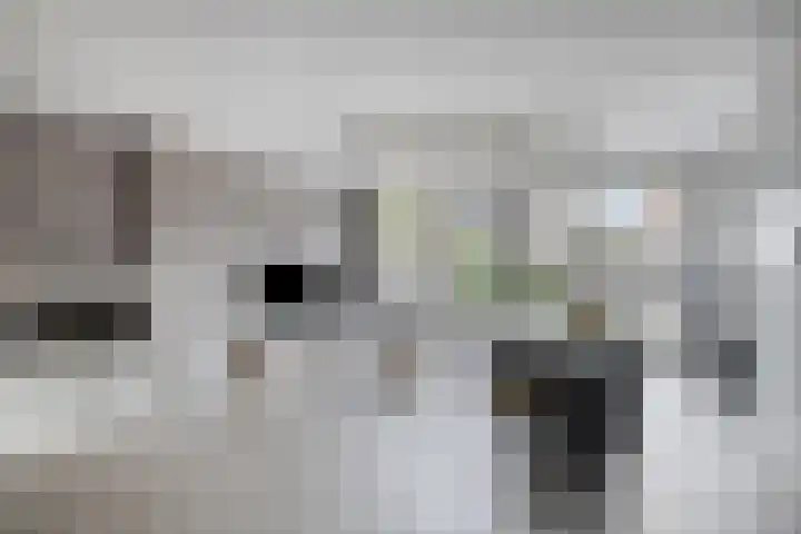Akelei 17 Kampen thumbnail 4