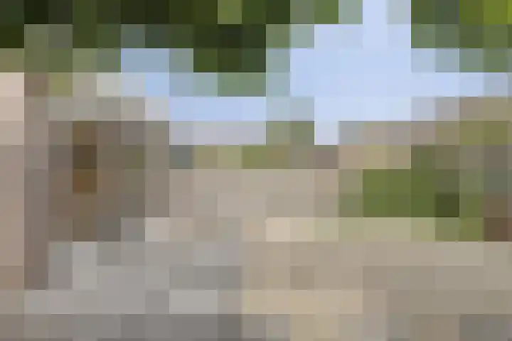Akelei 17 Kampen thumbnail 40