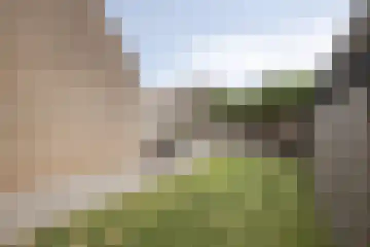 Akelei 17 Kampen thumbnail 45