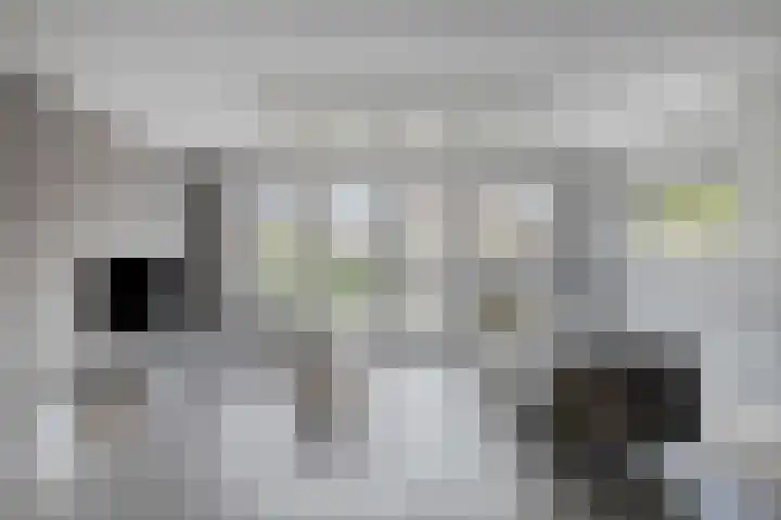 Akelei 17 Kampen thumbnail 5