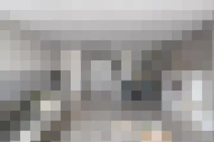 Akelei 17 Kampen thumbnail 7