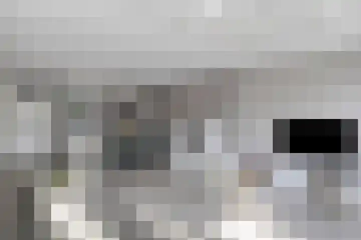 Akelei 17 Kampen thumbnail 8