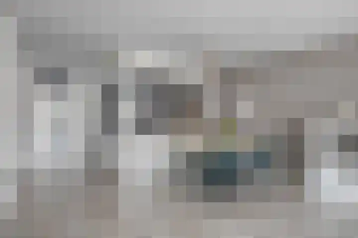Akelei 17 Kampen thumbnail 9