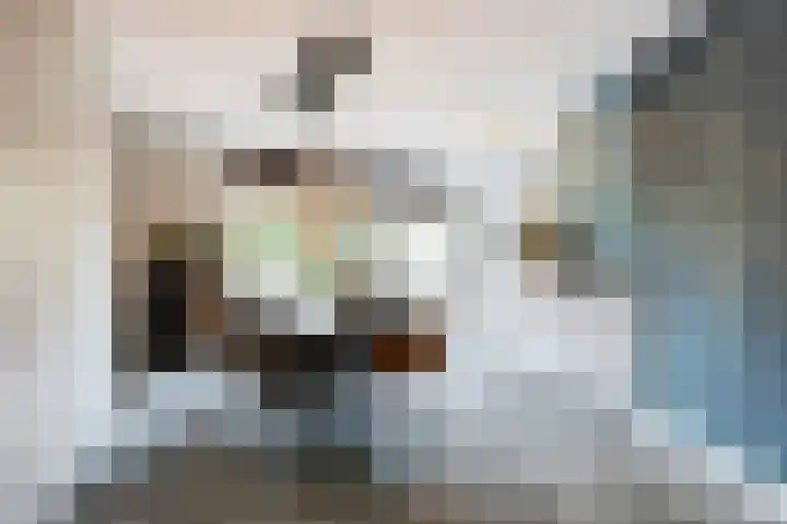 Akelei 17 Maasbree thumbnail 11