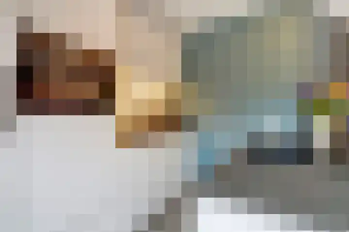 Akelei 17 Maasbree thumbnail 13