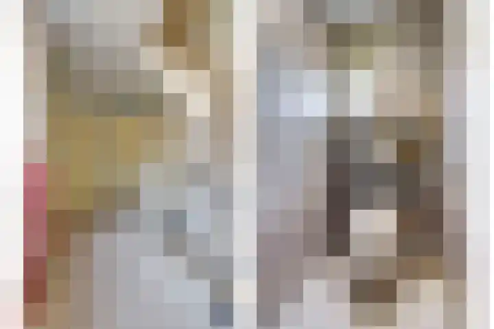 Akelei 17 Maasbree thumbnail 16