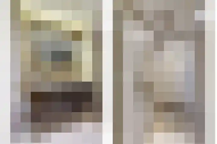 Akelei 17 Maasbree thumbnail 17