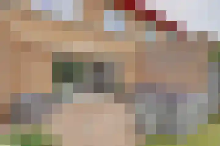 Akelei 17 Maasbree thumbnail 26