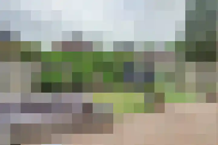 Akelei 17 Maasbree thumbnail 29