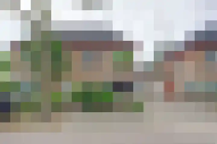 Akelei 17 Maasbree thumbnail 31