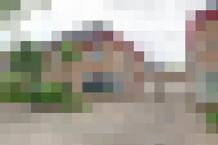 Akelei 17 Maasbree thumbnail 32