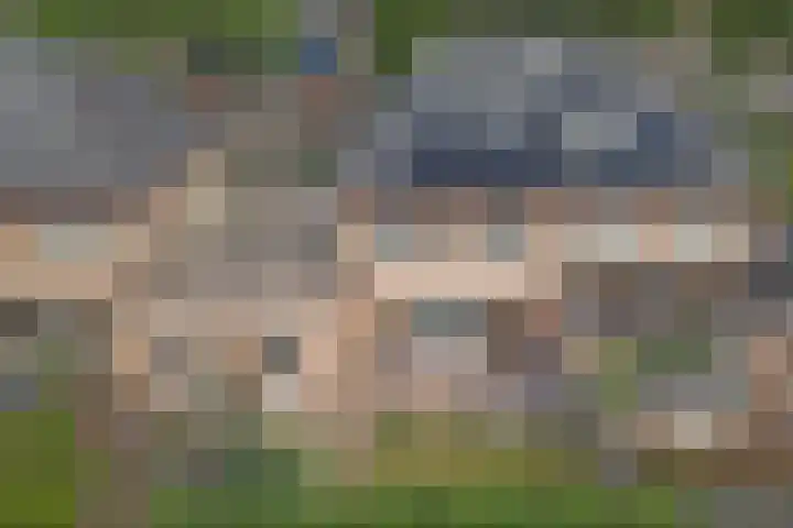 Akelei 17 Maasbree thumbnail 34