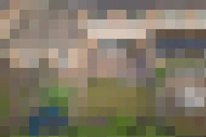 Akelei 17 Maasbree thumbnail 35