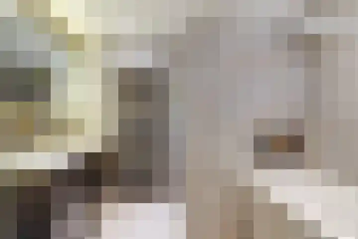 Akelei 17 Maasbree thumbnail 4