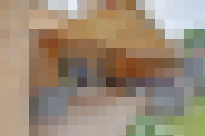 Akelei 17 Maasbree thumbnail 6