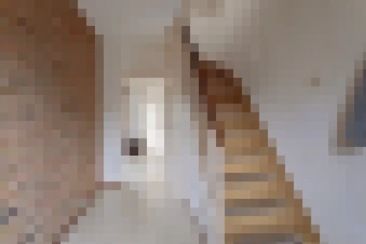Akelei 25 Borne thumbnail 7
