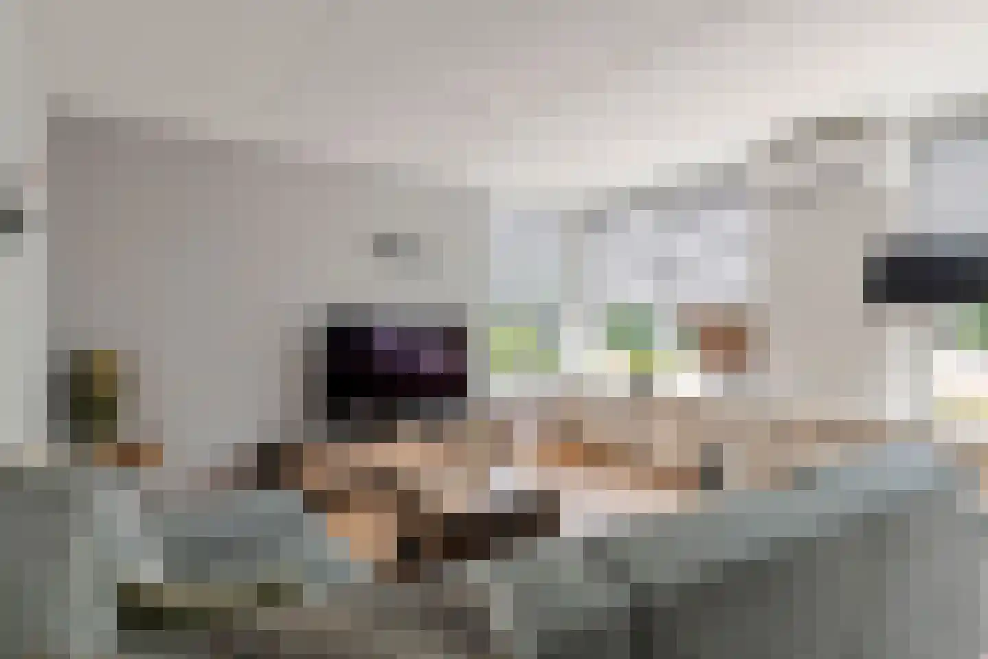 Akelei 26 Tiel thumbnail 11