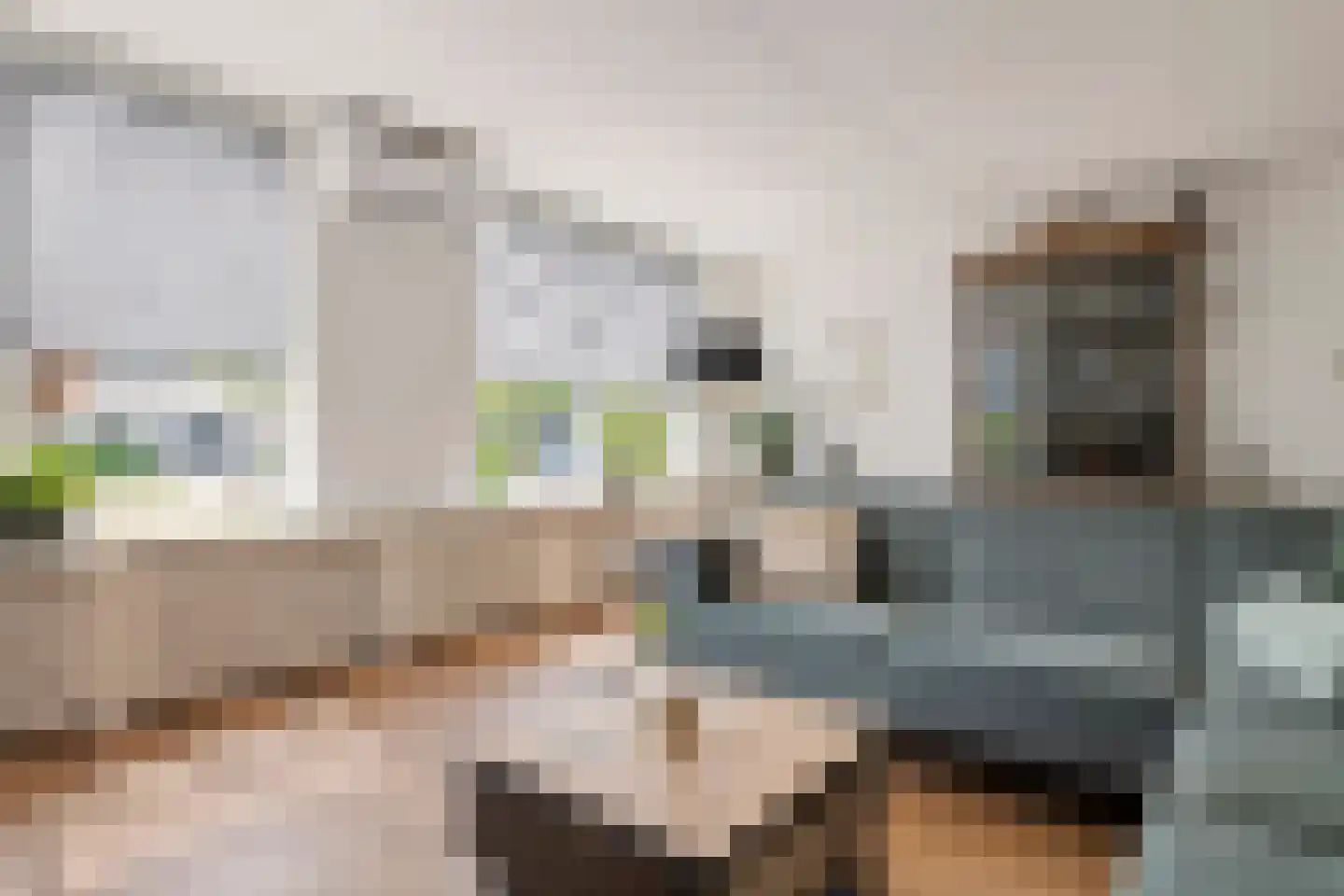 Akelei 26 Tiel thumbnail 14