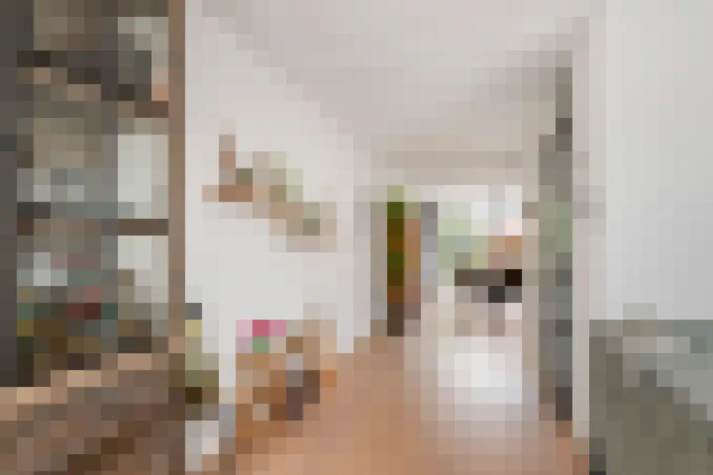 Akelei 26 Tiel thumbnail 15
