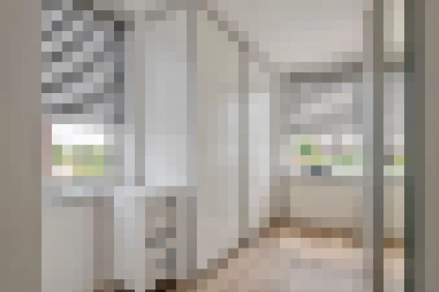 Akelei 26 Tiel thumbnail 25