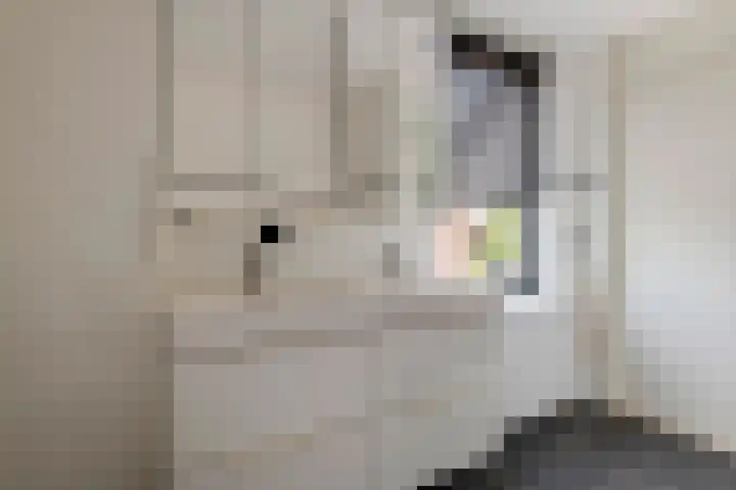Akelei 26 Tiel thumbnail 30