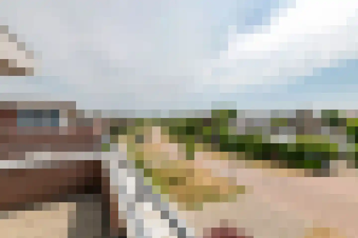 Akelei 26 Tiel thumbnail 37