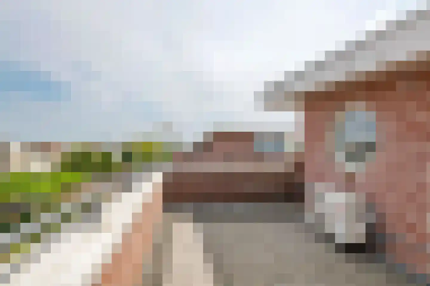 Akelei 26 Tiel thumbnail 40