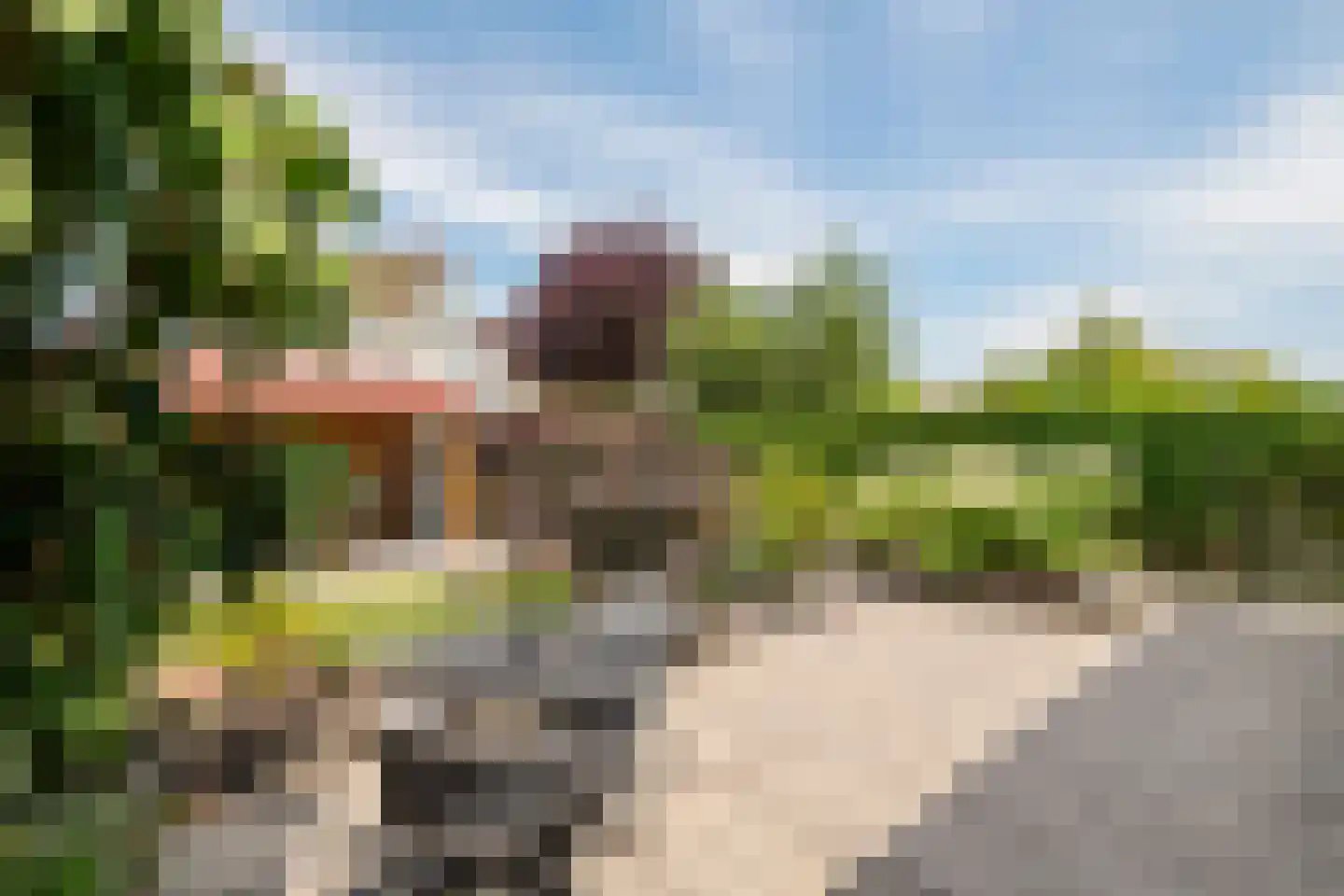 Akelei 26 Tiel thumbnail 41