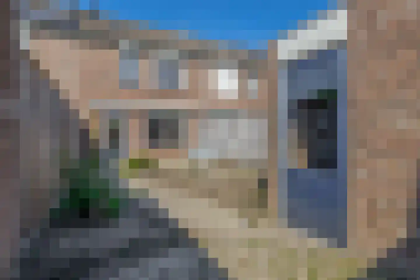 Akelei 28 Dirksland thumbnail 24