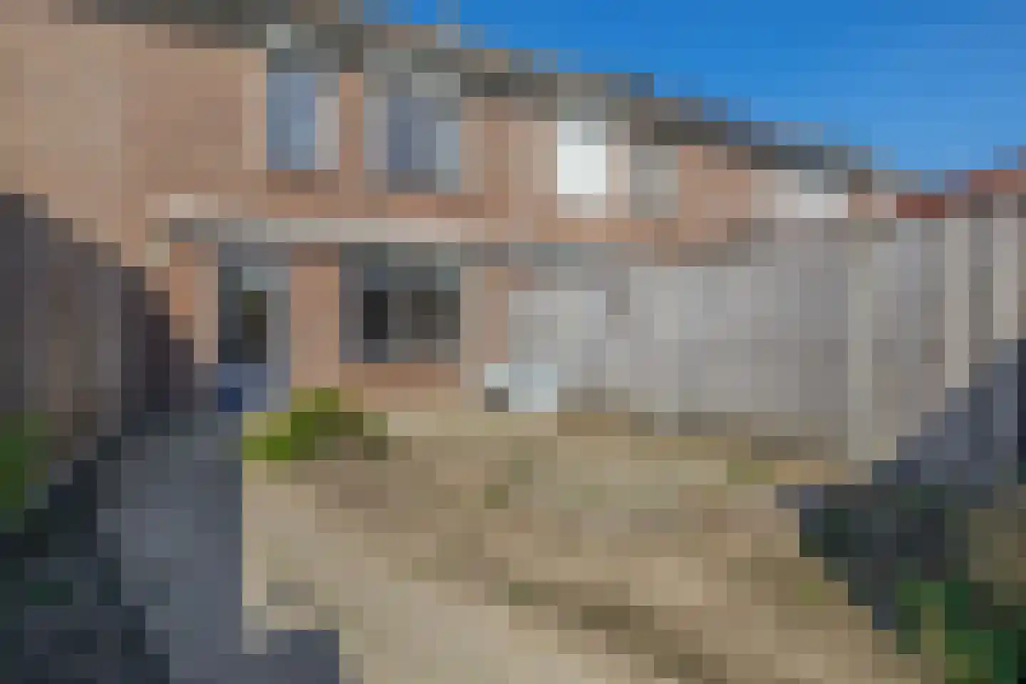 Akelei 28 Dirksland thumbnail 25