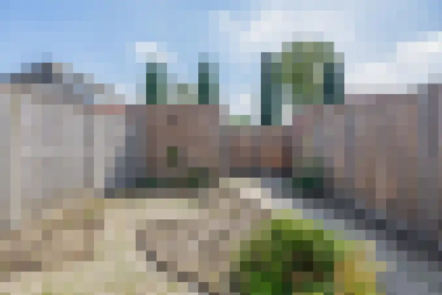 Akelei 28 Dirksland thumbnail 26