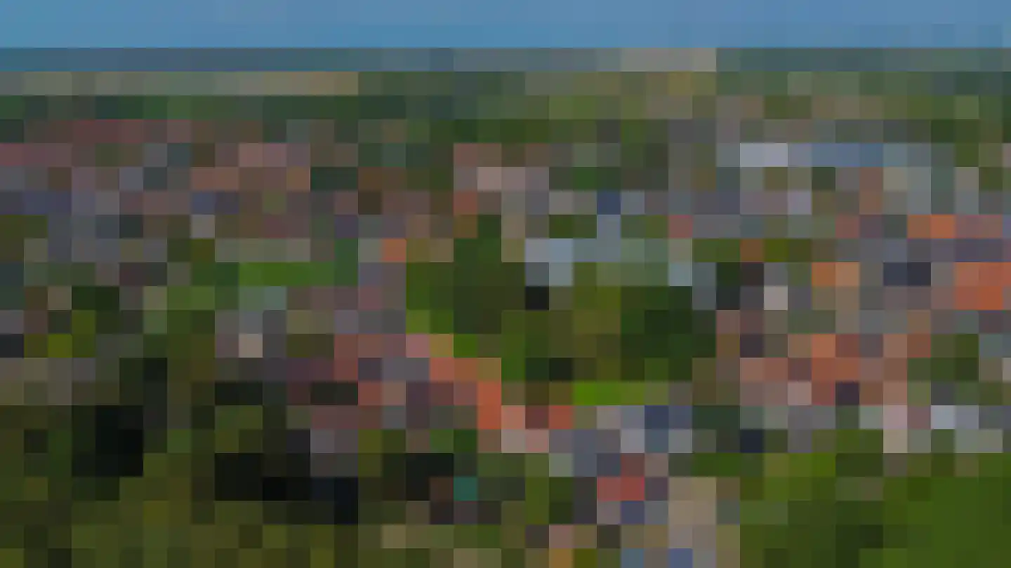 Akelei 28 Dirksland thumbnail 30